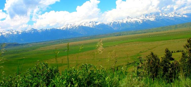View looking west across the National Elk Refuge at the Teton Range in Grand Teton National Park