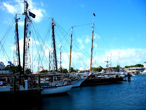 Sailing schooners Appledore, Adirondack III and America 2 docked in Key West Bight Marina