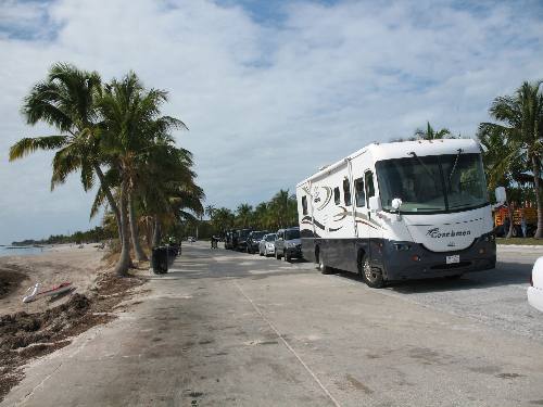 Parking and coconut palms along Smathers Beach in Key West