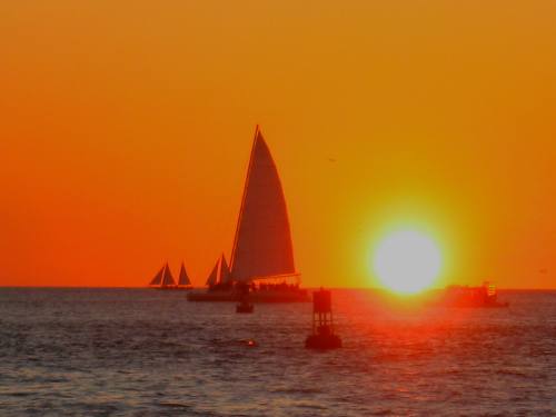 Sailboats in sunset picture taken from Sunset Pier in Key West, Florida