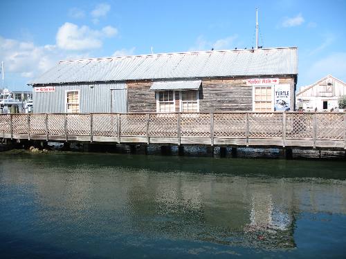 This is the turtle museum located at the historic old seaport in Key West Bight