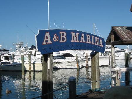 A&B Marina is located along Harbor Walk in the northwest corner of Key West Bight Marina an easy walk to Duval Street