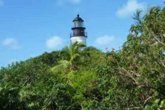 Key West Lighthouse peaking over the top of vegatation