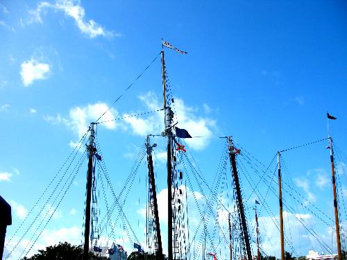 Masts on some of the sailing schooners in Key West Bight Marina