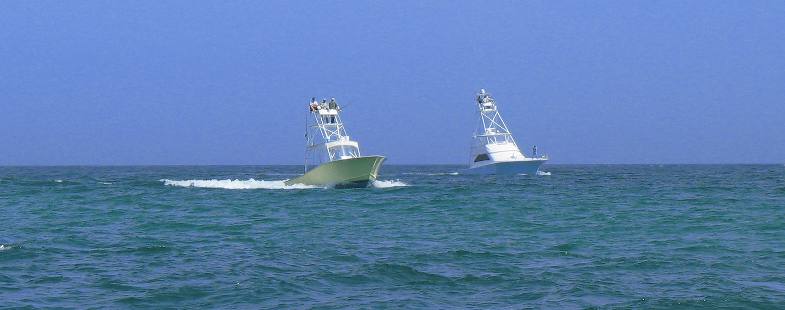 Cobia Fishing  boats