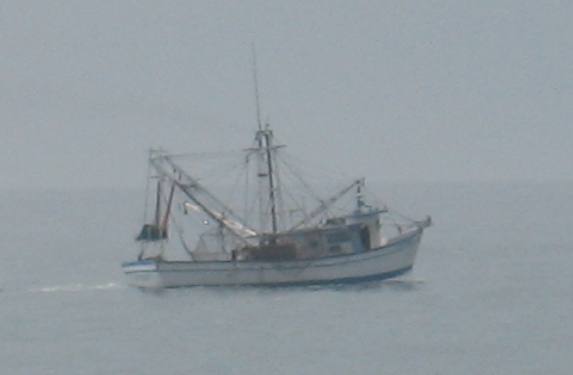 Fishing for cannon ball jellyfish off Panama City Beach