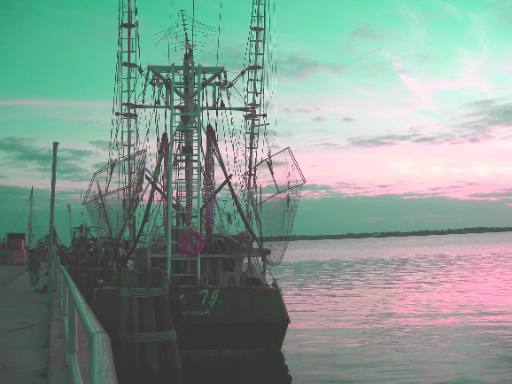 Jellyfish boat at marina in St Andrews