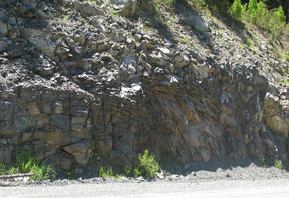 Anticline clearly visible in road cut near John Day, Oregon