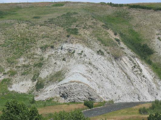 Anticline visible in river cut near Hillspring, Alberta