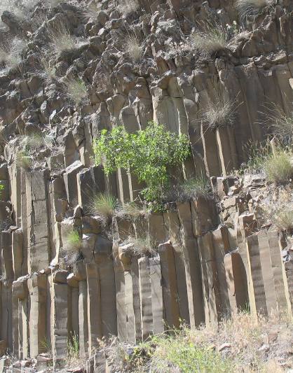 Columnar Jointed Basalt