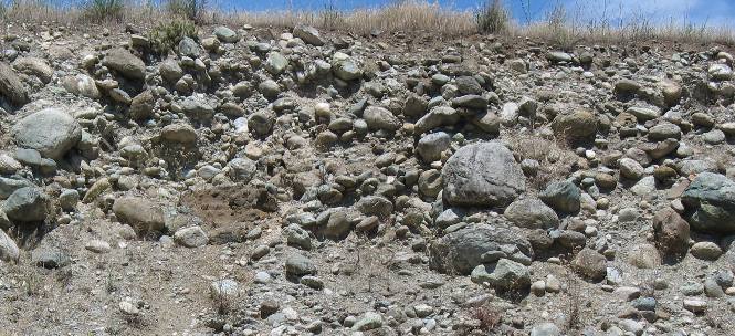 Closeup of conglomerate in an old hydraulic mining scar along the Salmon River north of Riggins, Idaho