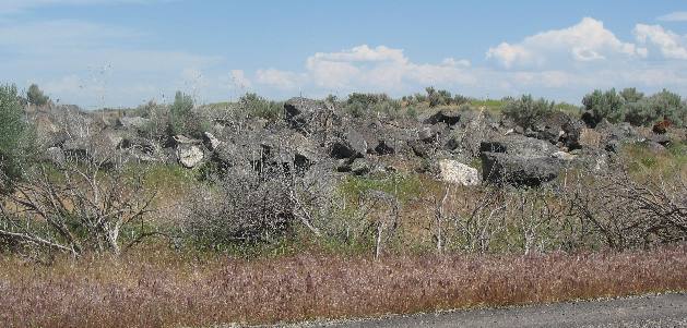 Sage brush and lava rock in southern Idaho