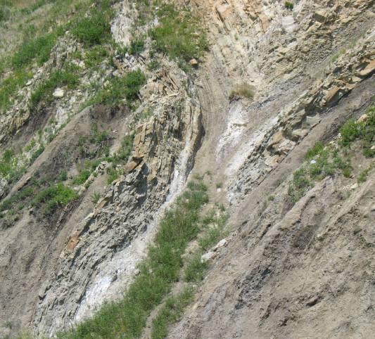 Syncline near Hillspring, Alberta