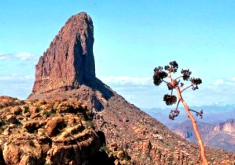 Weavers Needle is a towering lava plug in the Superstition Mountains of Arizona