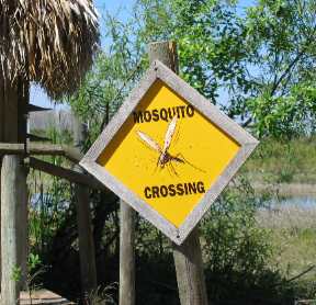 Cute sign we saw on the Seminole Indian Reservation deep in the Florida Everglades