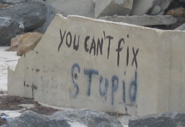 You can't fix STUPID