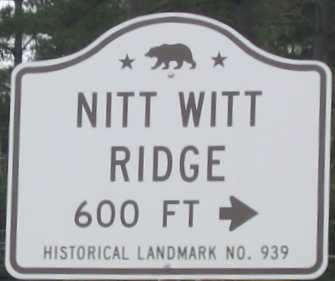 Nitt Witt Ridge.....Historical Landmark in Cambria, California