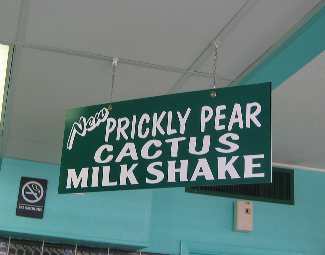 Date Shakes and Prickly Pear Cactus Milk Shakes