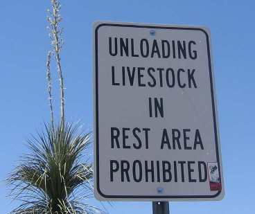 Unloading livestock in rest area prohibited