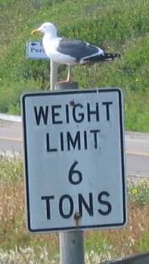 I guess the gull was under the 6-Ton limit